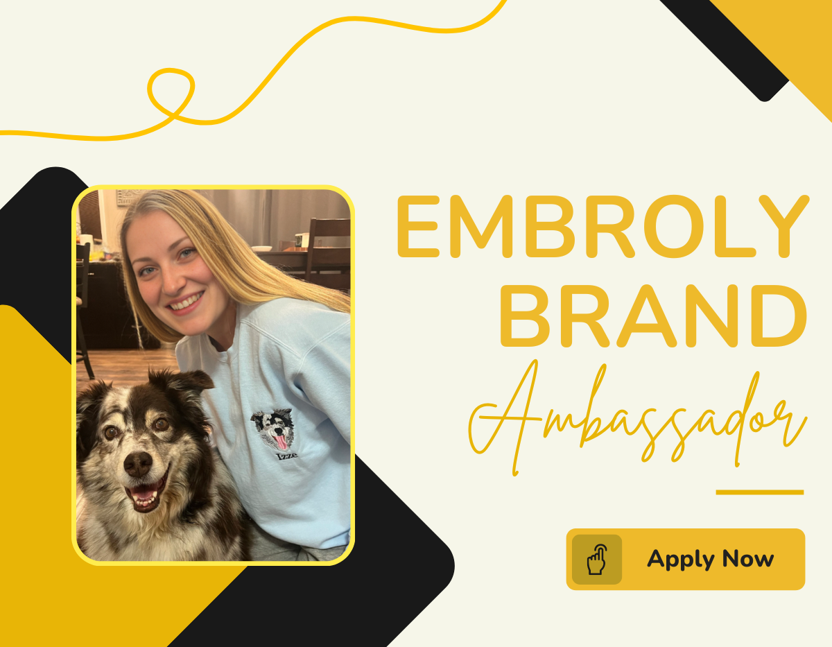 Brand Ambassador Program
