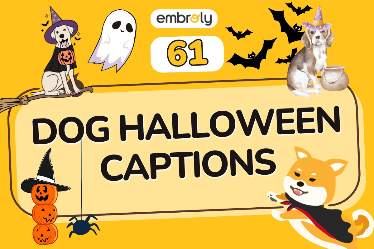 Dog Halloween Captions