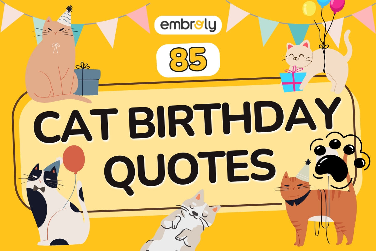 Cat Birthday Quotes, Messages & Captions