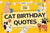 Cat Birthday Quotes, Messages & Captions