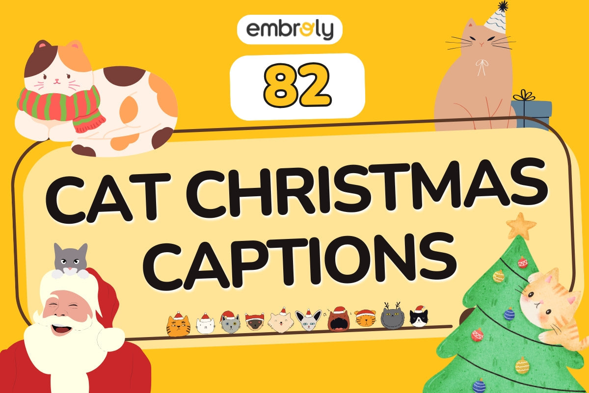 Cat Christmas Captions & Quotes For Your Holiday
