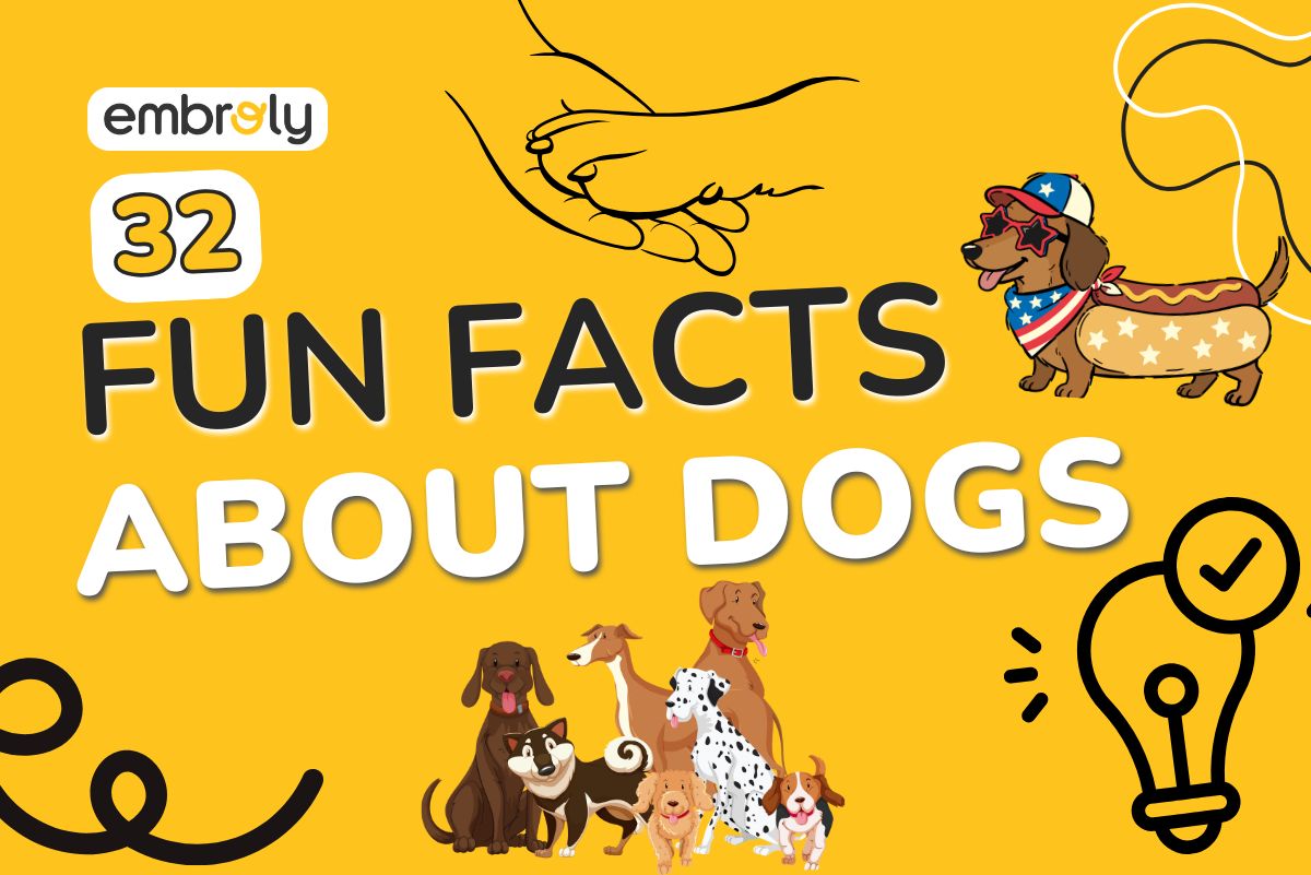 Fun Facts About Dogs