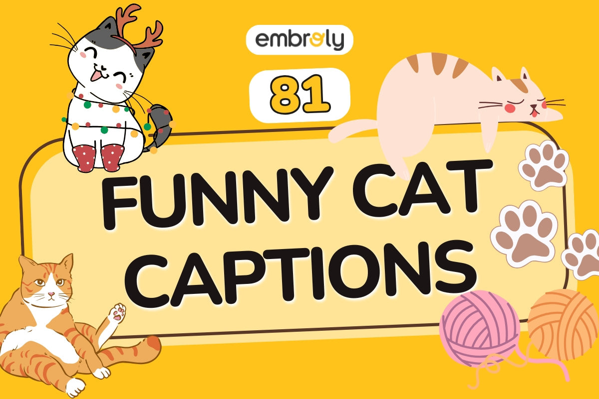  Funny Cat Captions and Quotes for Feline Lovers