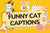  Funny Cat Captions and Quotes for Feline Lovers
