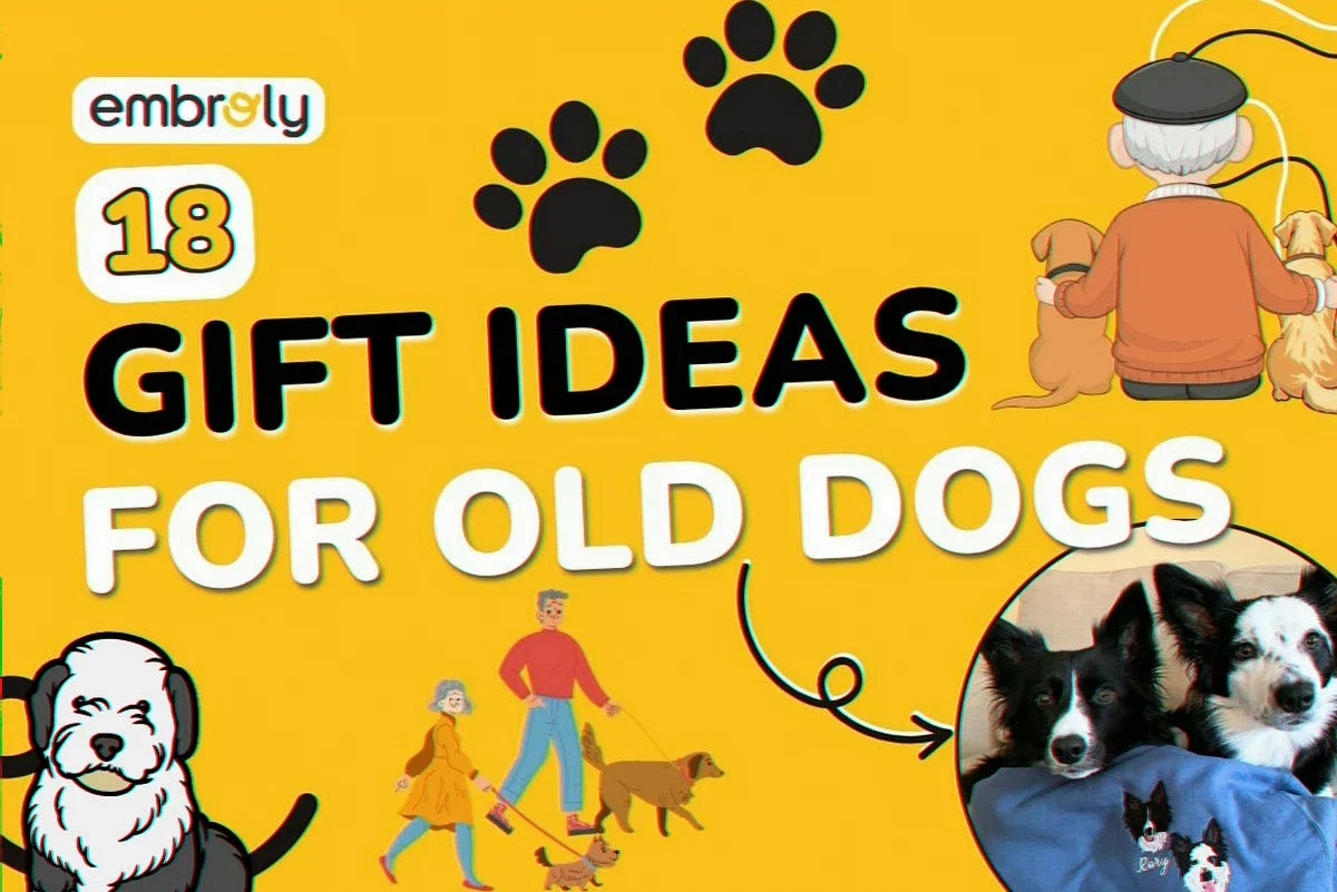 Gifts for Old Dogs