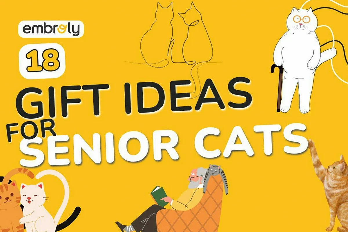 Gift Ideas for Senior Cats