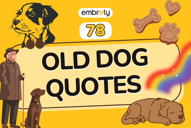 78 Old Dog Quotes About Love, Loyalty & Aging Grace
