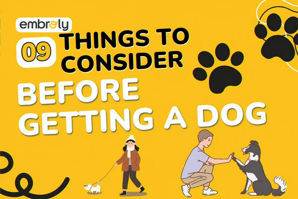 Things to Consider Before Getting a Dog