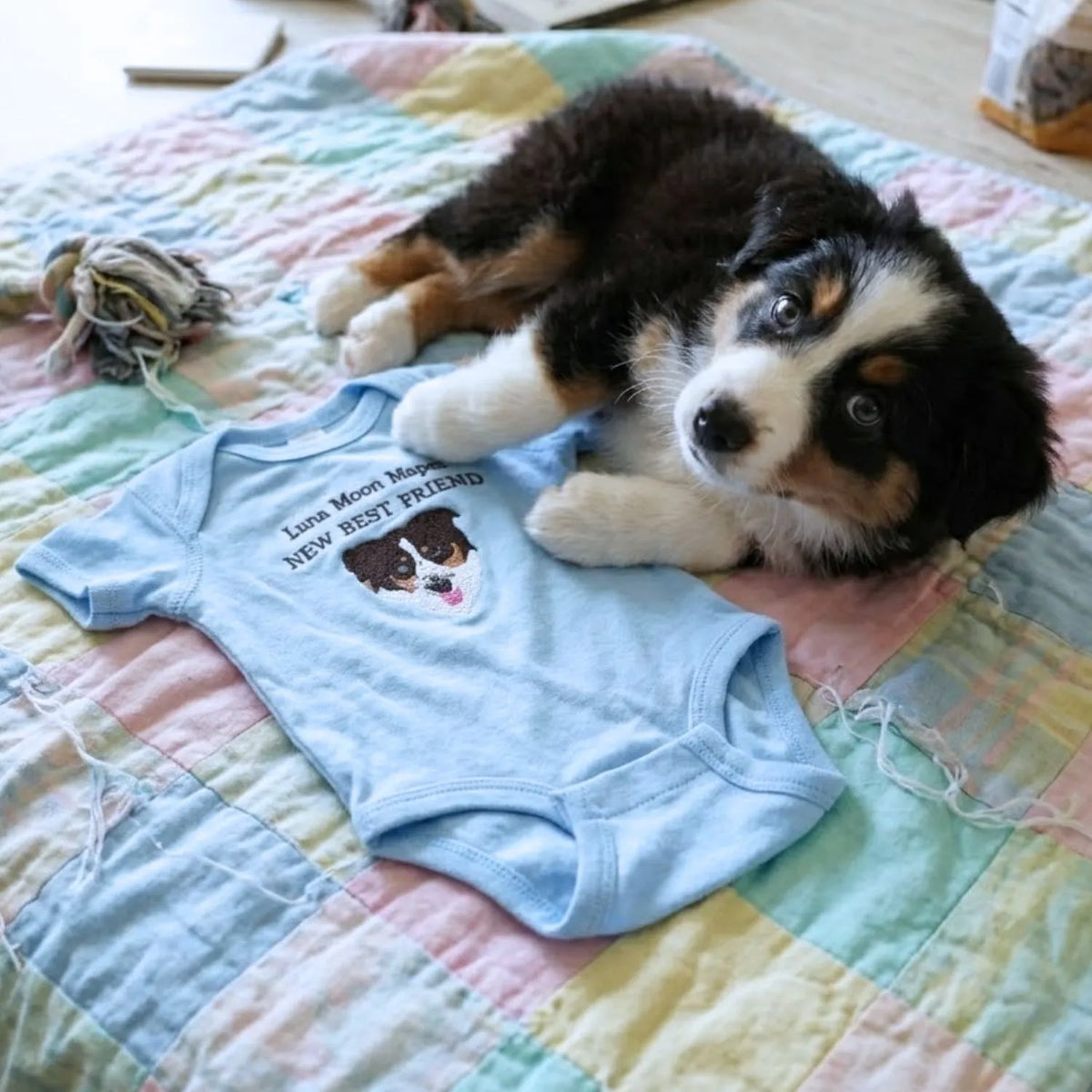Custom Embroidered Baby Bodysuit Onesie with Pet Photo, Name - New Best Friend