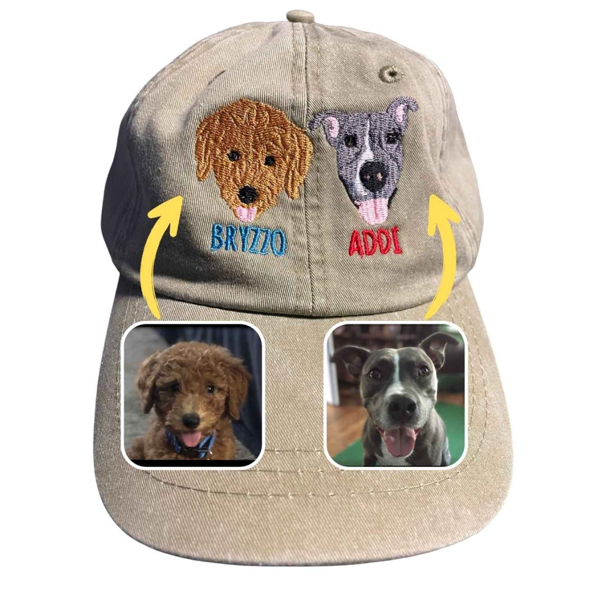 Dog baseball hats outlet for humans