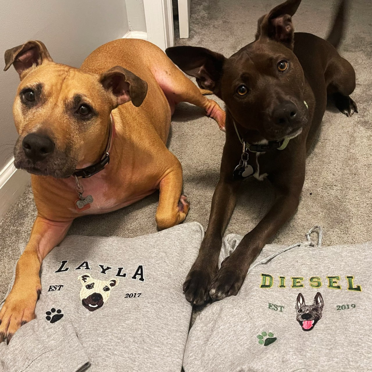 Custom Pet Embroidery Hoodie, Sweatshirt with Your Pet's Portrait Photo, Unique Gift for Pet Lovers - Embroly