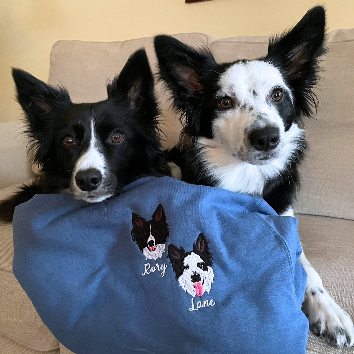 Border Collie Sweatshirt or Hoodie, Custom Embroidered Gift from Photo