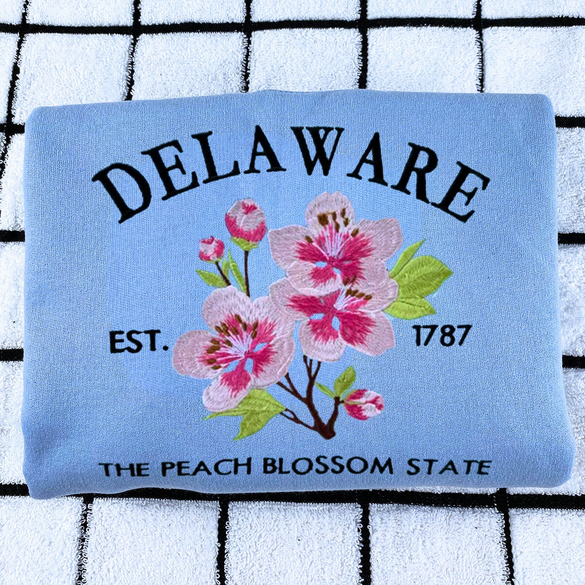 Embroidered Delaware Sweatshirt