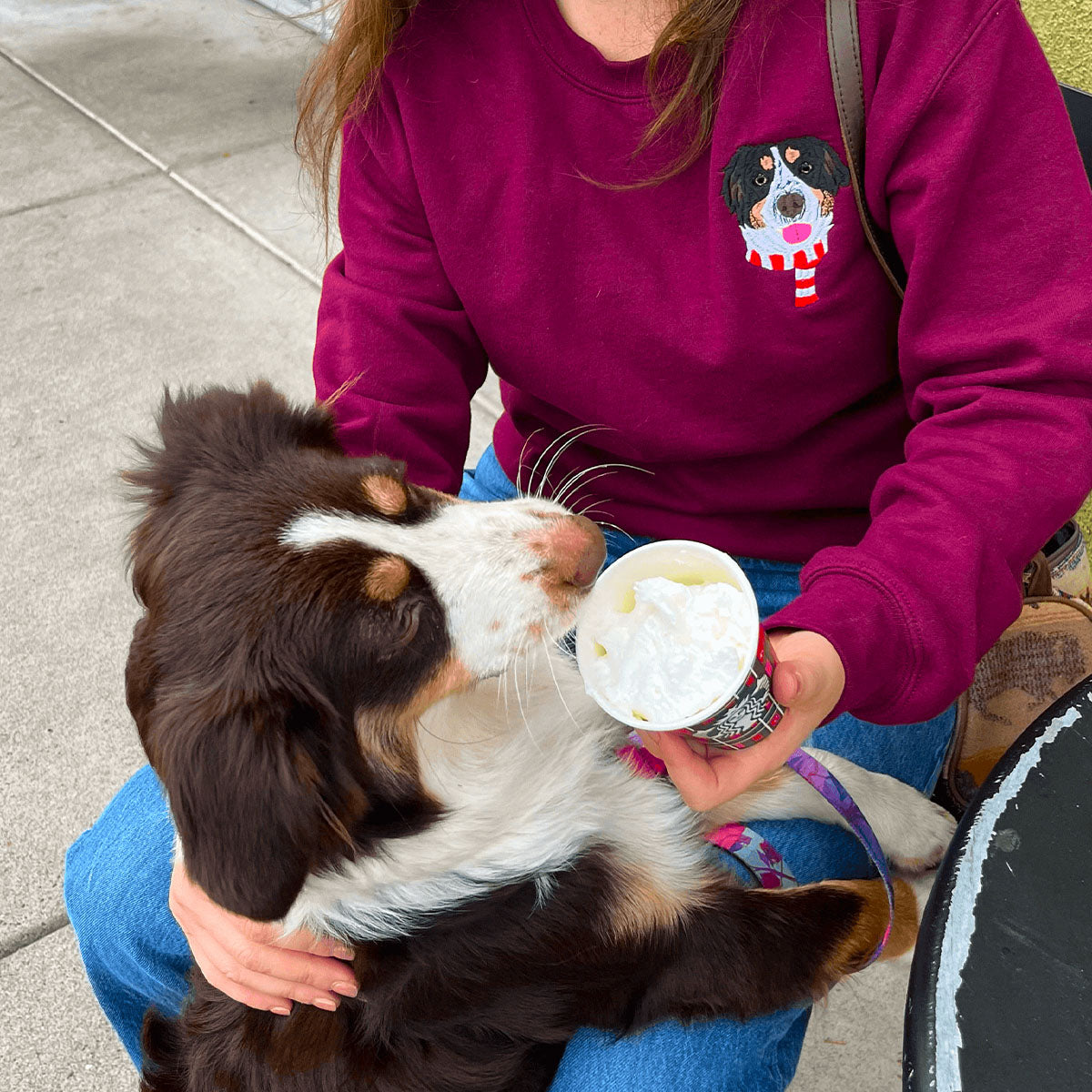 Custom Dog Life Shirt, Sweatshirt or Hoodie with Your Pet's Portrait Photo, Unique Embroidered Gift for Dog Mom Dog Dad