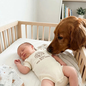 Custom Pet Portrait Line Art Embroidered Baby Bodysuit Onesie from Photo, Dog Cat Name's