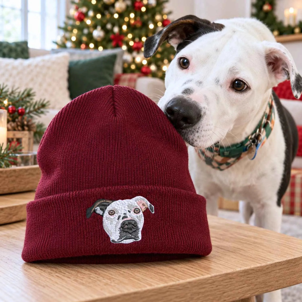 Custom Cat Portrait Beanie, Embroidered Cat Face Photo Knitted Hat, Christmas Gifts for Pet Lovers or Cat Mom