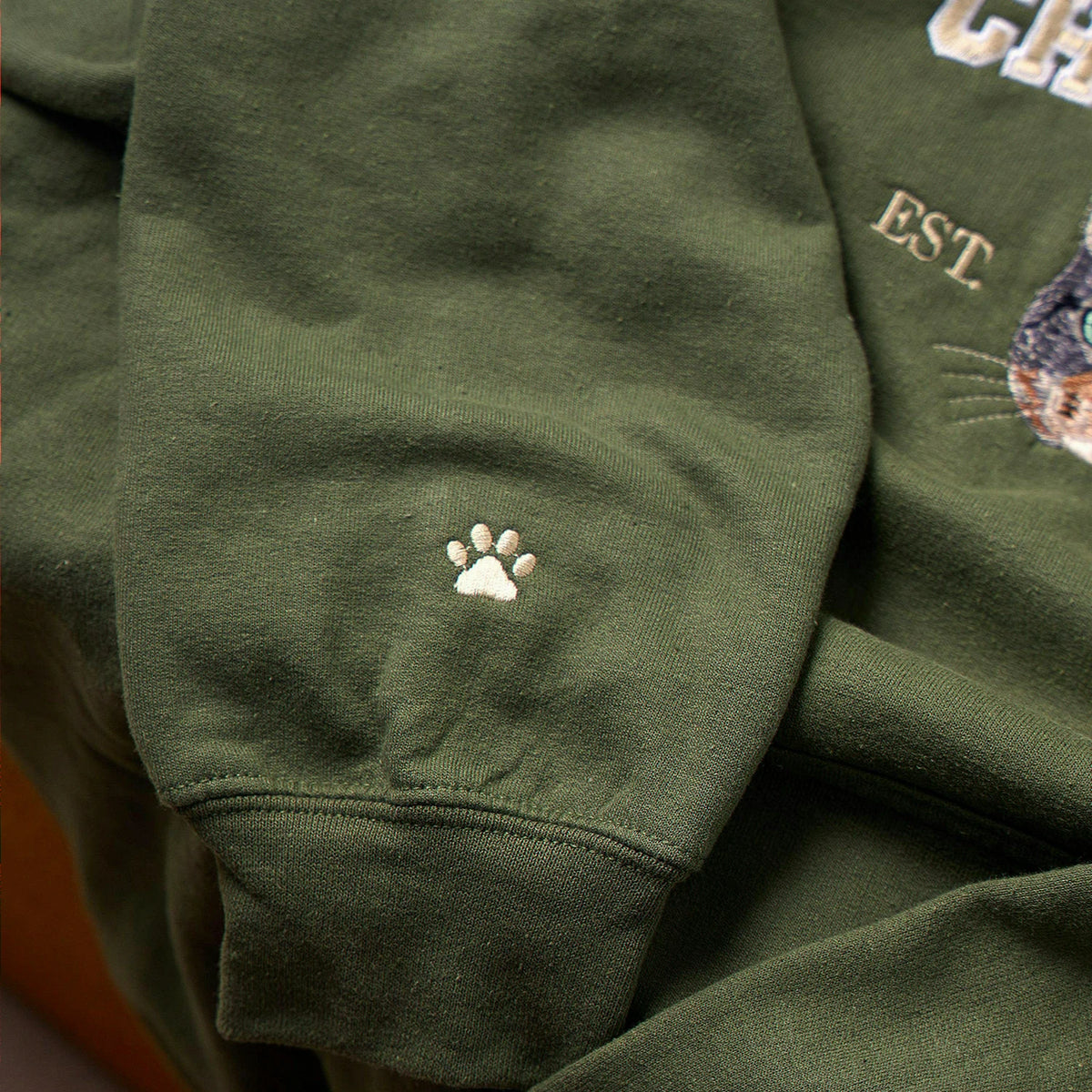 Custom Cat Portrait Hoodie with Embroidered Pet Name, Personalized Cat Mama Gift