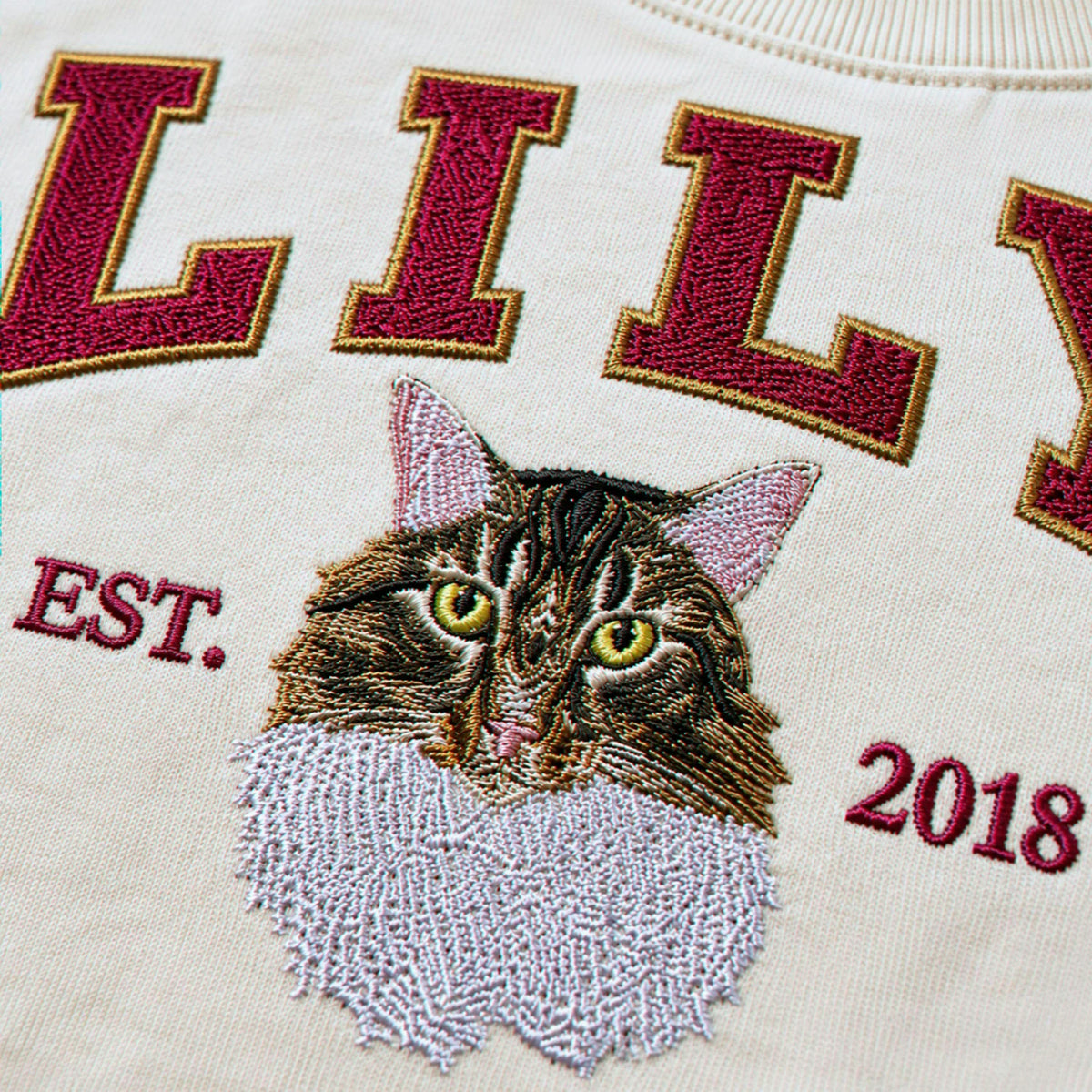Custom Cat Portrait Est Varsity Youth T-Shirt, Embroidered Pet Photo & Name Tee for Kids