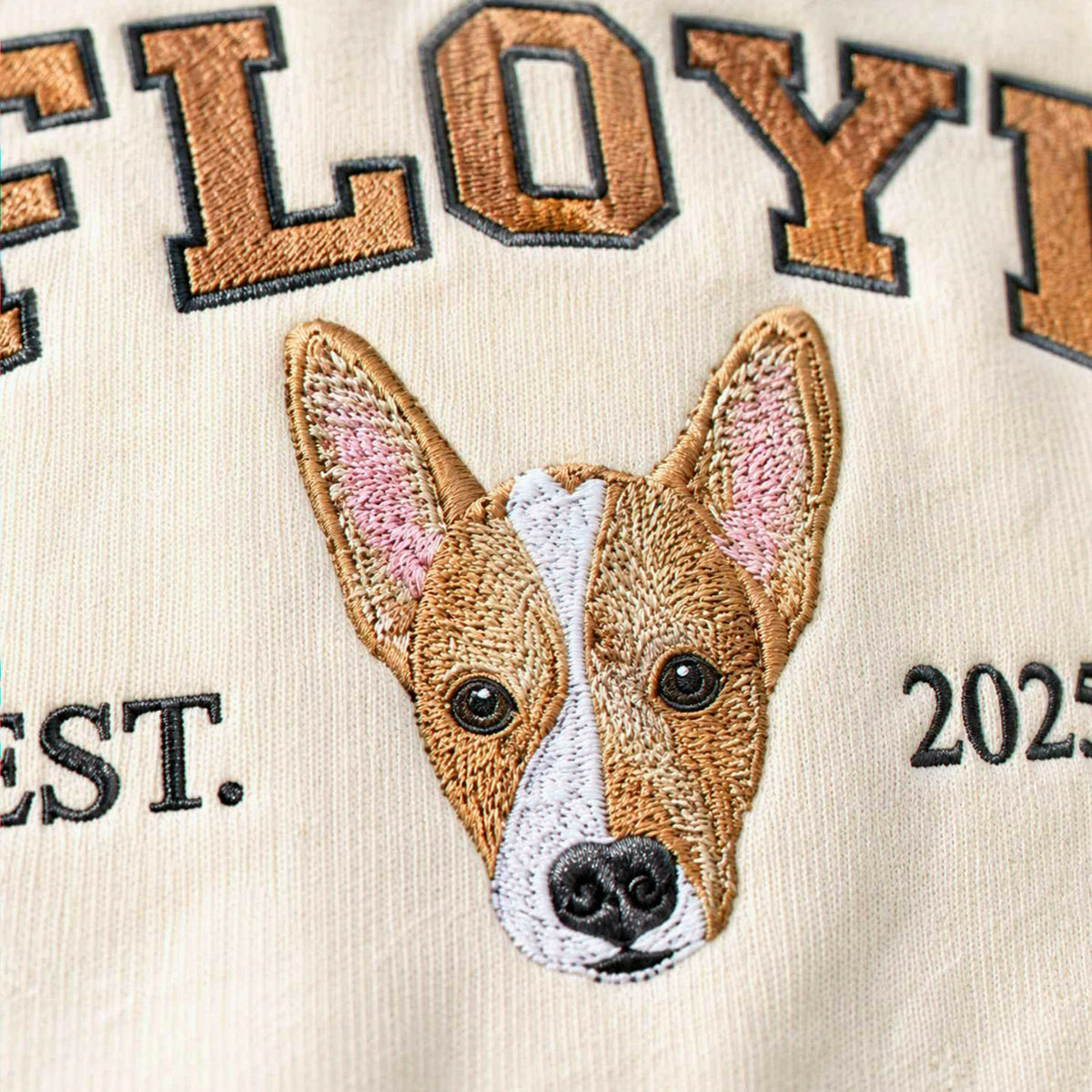 Custom Dog Portrait Est Varsity Youth Sweatshirt, Embroidered Pet Photo & Name Crewneck for Kids