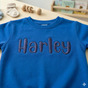Custom Toddler Name Sweatshirt, Embroidered Big Bro or Little Sister Gift, Toddler Back to School Gift