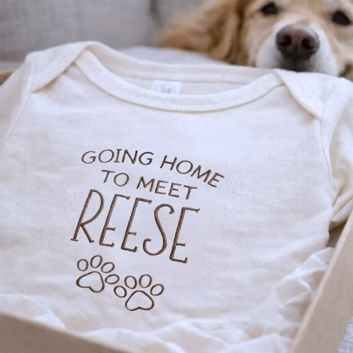 Custom embroidered newborn onesie saying “Going Home to Meet My Pups” – perfect baby shower gift for puppy lovers