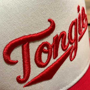Custom Puff Text Snapback Hats - 3D Embroidered Your Text, Name, Logo on Front, Side & Back