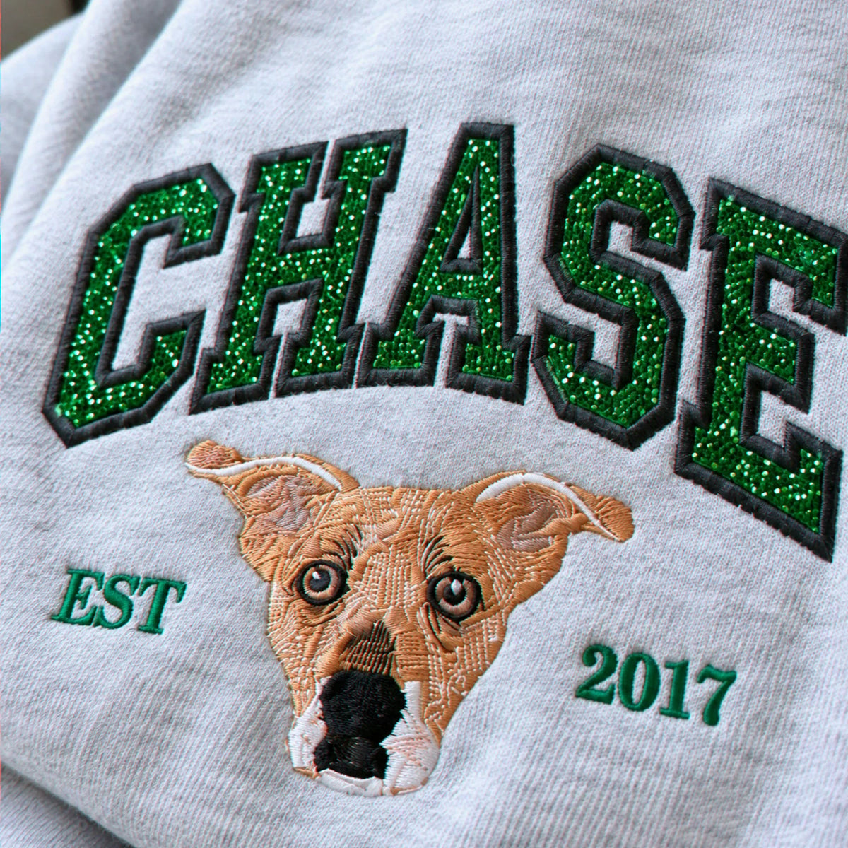 Custom Glitter Dog Portrait Sweatshirt, Embroidered Dog Name Varsity Applique Crewneck, Dog Mom Gift