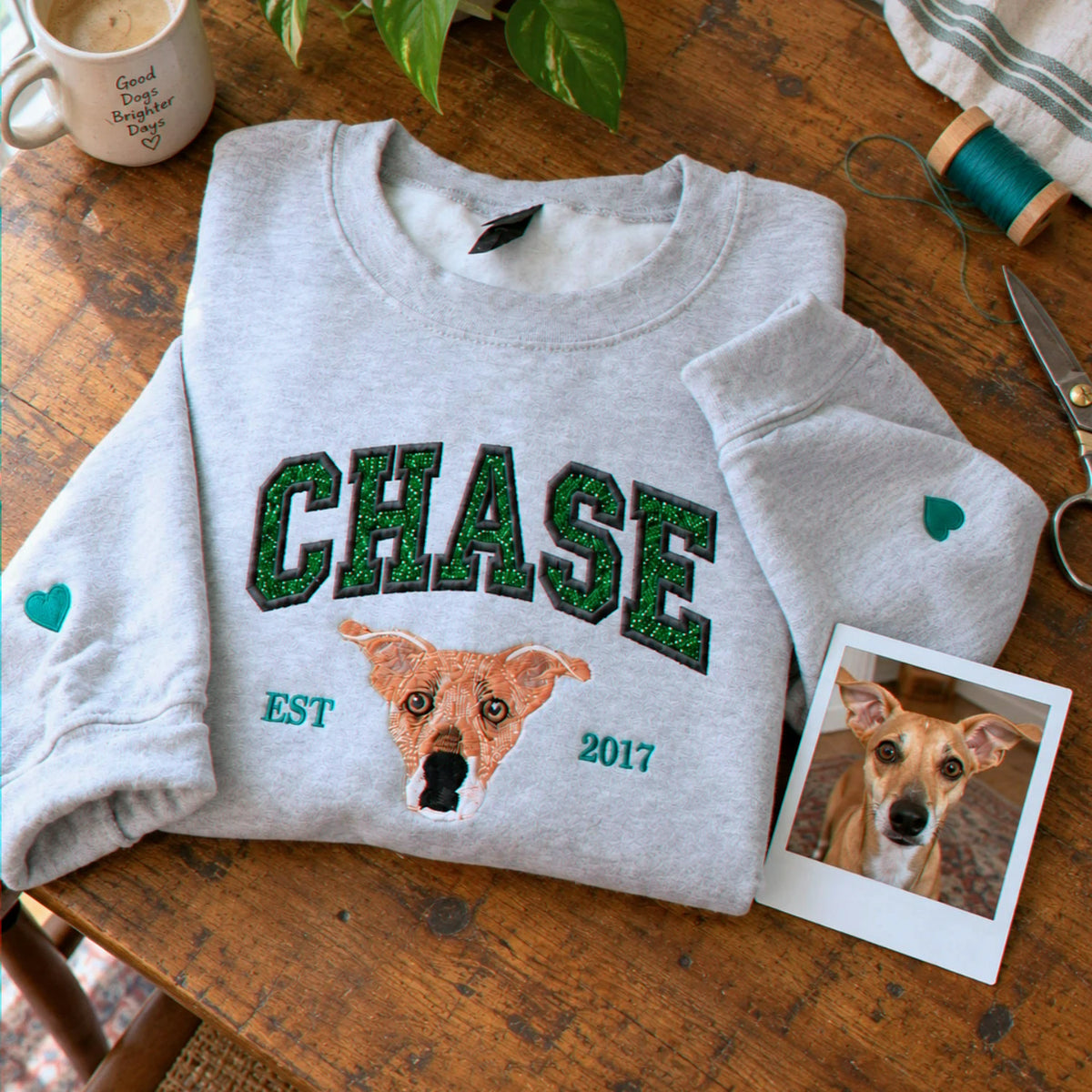 Custom Glitter Dog Portrait Sweatshirt, Embroidered Dog Name Varsity Applique Crewneck, Dog Mom Gift