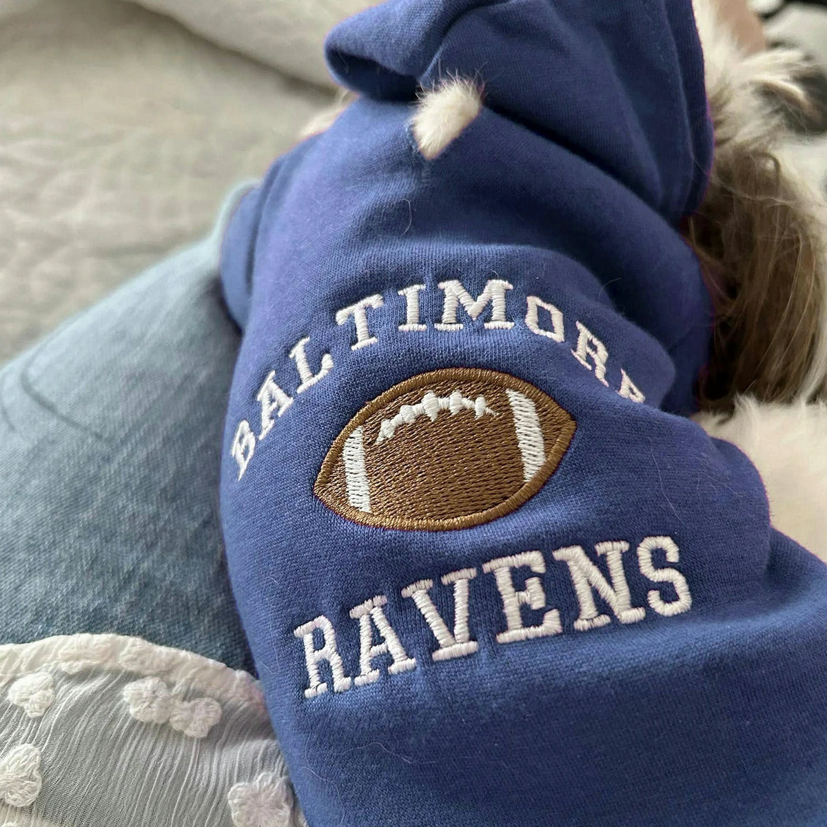 Embroidered Any Sport Team Dog Hoodie, Personalized Dog Sweatshirt Icon Name
