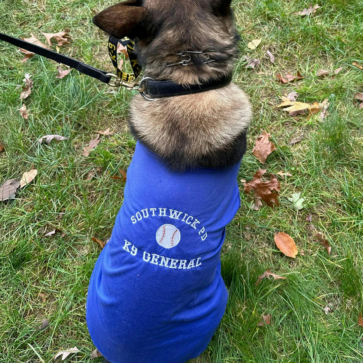 Embroidered Any Sport Team Dog Hoodie, Personalized Dog Sweatshirt Icon Name