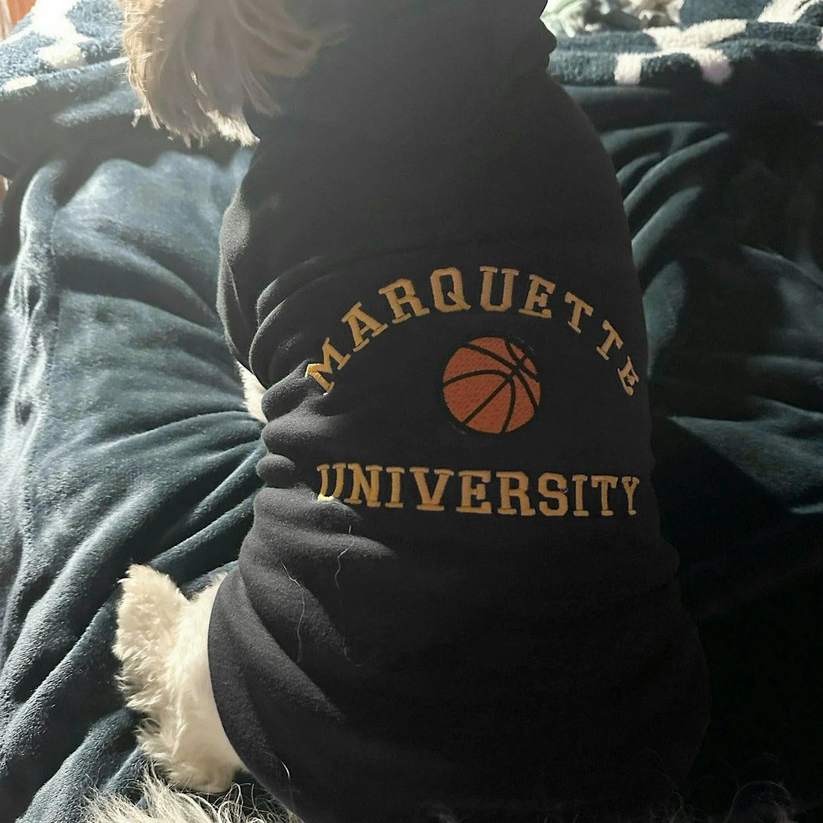 Embroidered Any Sport Team Dog Hoodie, Personalized Dog Sweatshirt Icon Name
