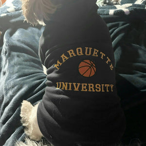 Embroidered Any Sport Team Dog Hoodie, Personalized Dog Sweatshirt Icon Name