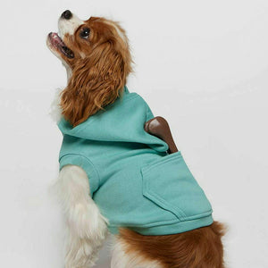 Embroidered Any Sport Team Dog Hoodie, Personalized Dog Sweatshirt Icon Name