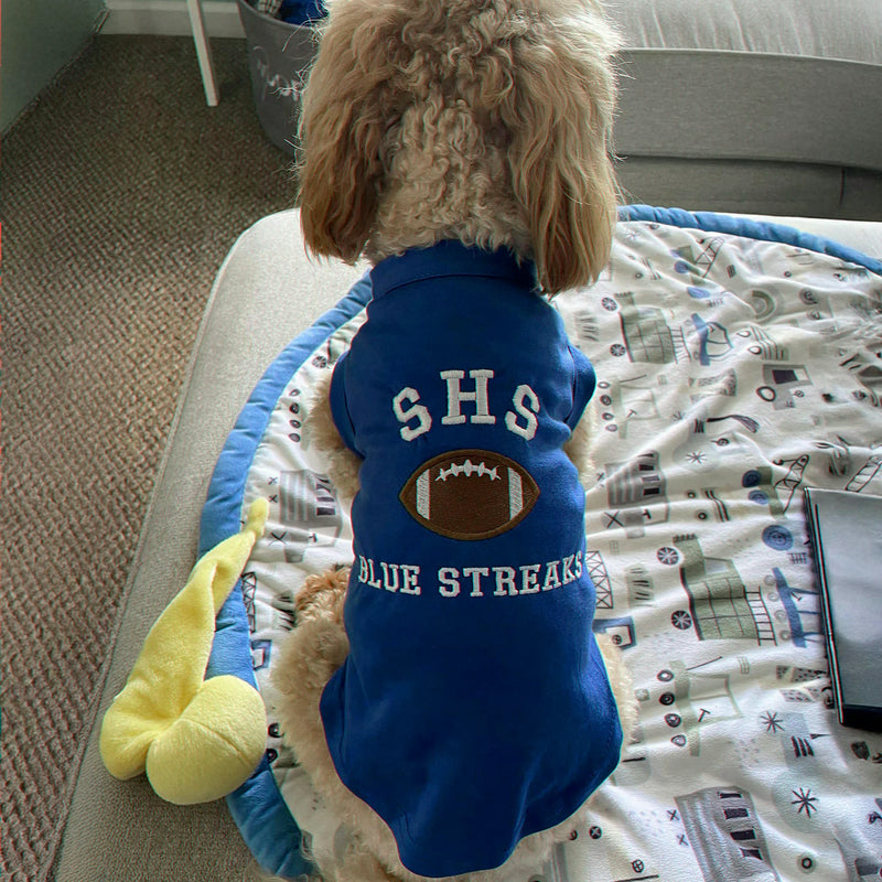 Embroidered Any Sport Team Dog Hoodie, Personalized Dog Sweatshirt Icon Name