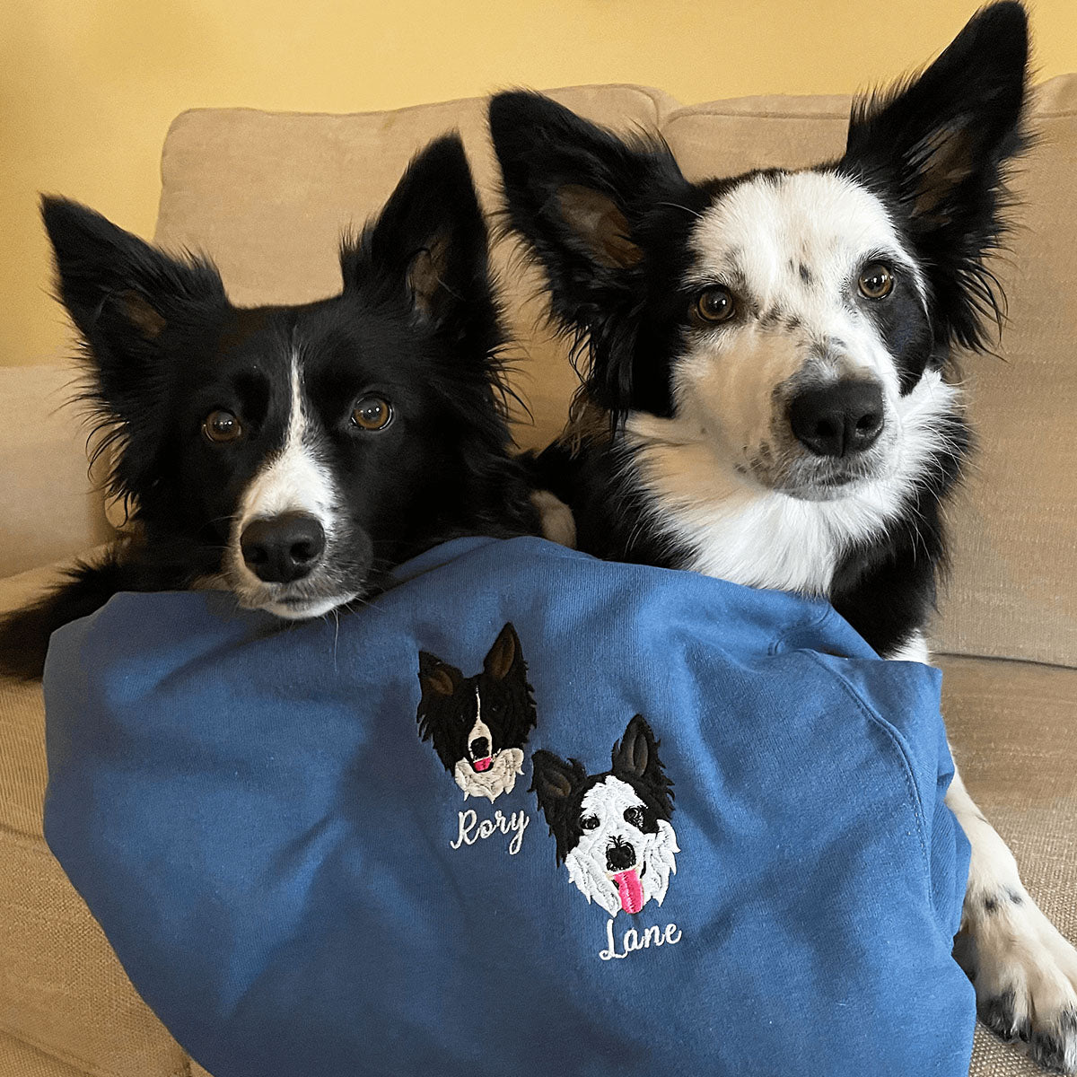 Custom Dog Dad Sweatshirt Embroidered Pet Face Name Portraits Photo on Sleeve - Embroly