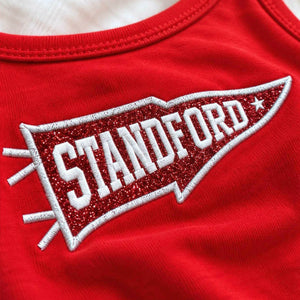 Custom College Pennant Glitter Tank Top, Embroidered School Spirit Game Day Cami, Applique Team Tailgate Shirt