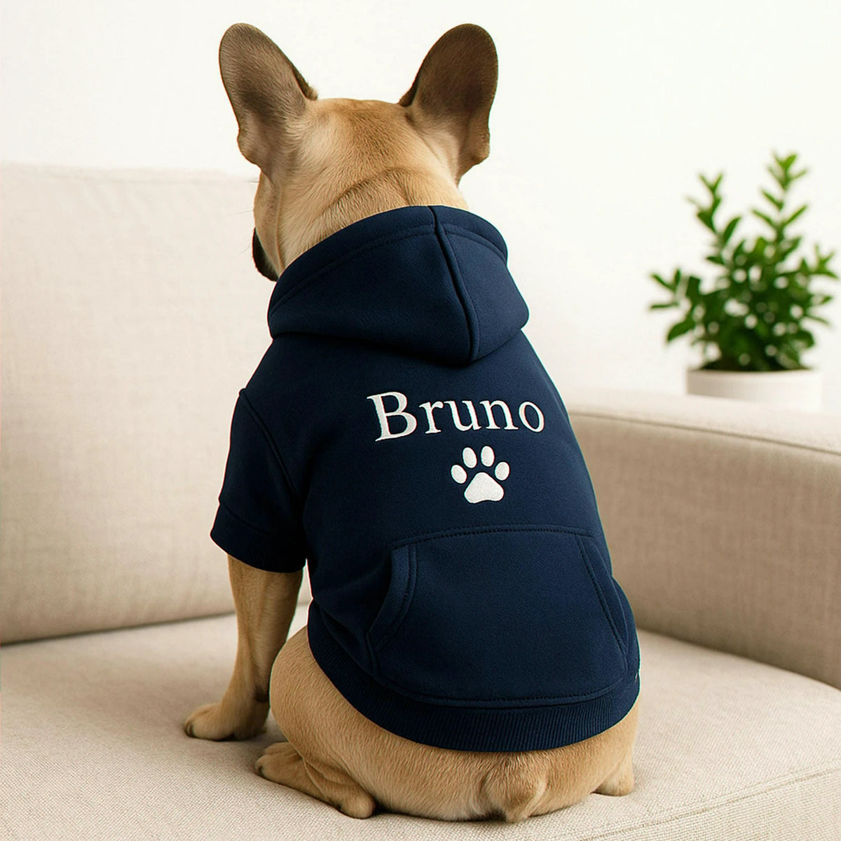Embroidered dog hoodie with your pup’s name and a sweet paw detail. A cute pet outfit for everyday photos and dog lovers
