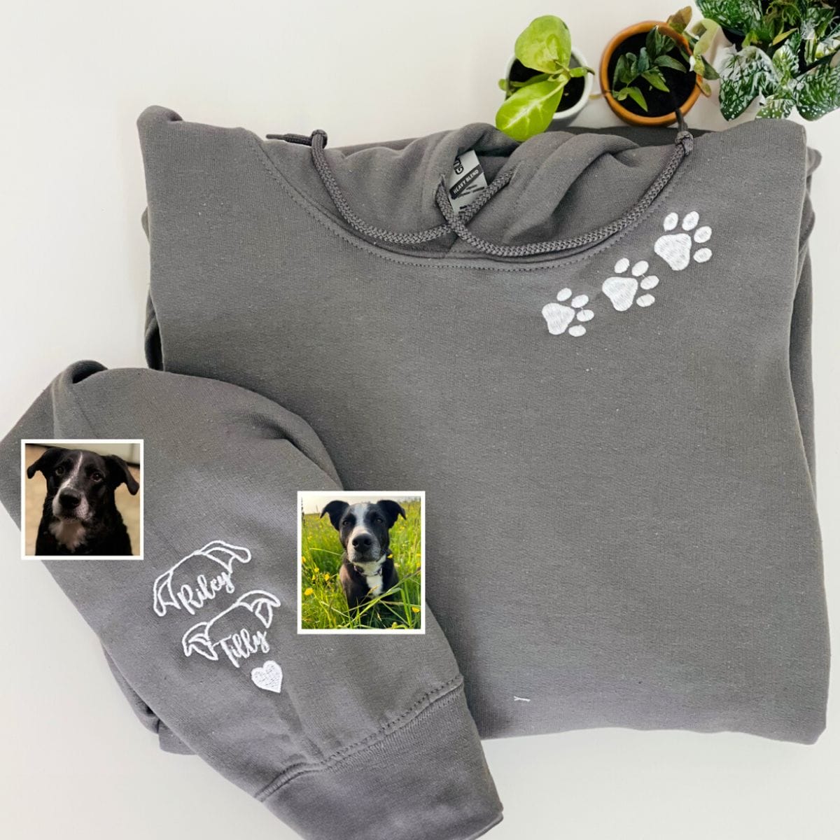 My Dog is Cuter Crop Sweatshirt — Northwest Dog Project