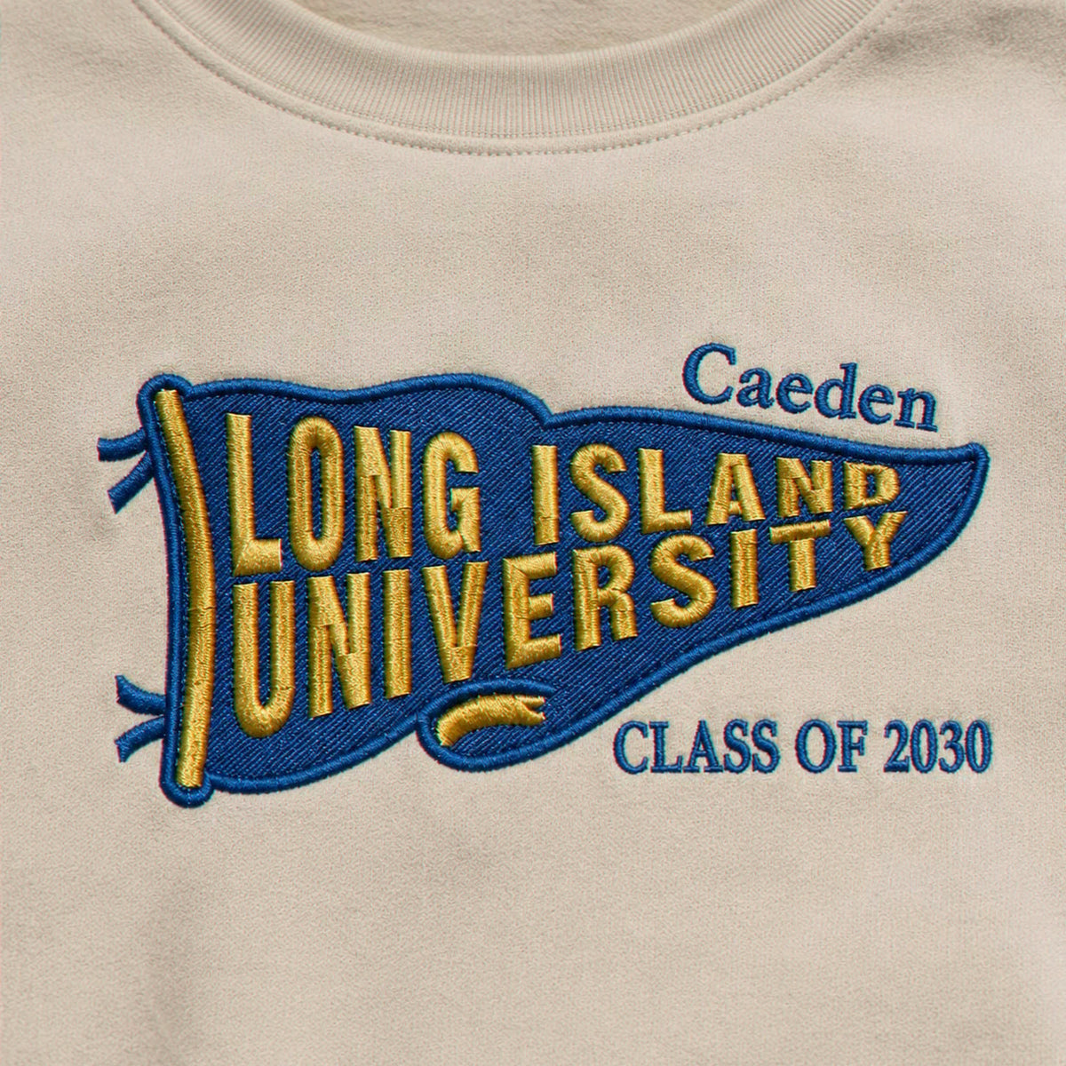 Custom Embroidered College Sweatshirt with Pennant Flag, Back to School Gift