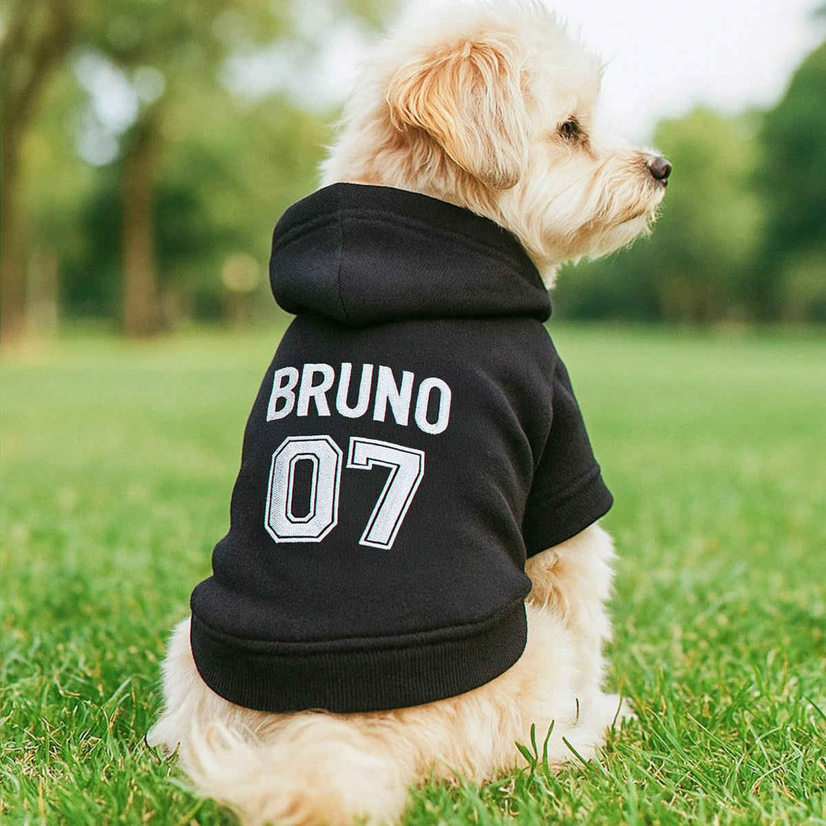 Black Hoodie for Dog with Custom Name, Pet Birthday Gift