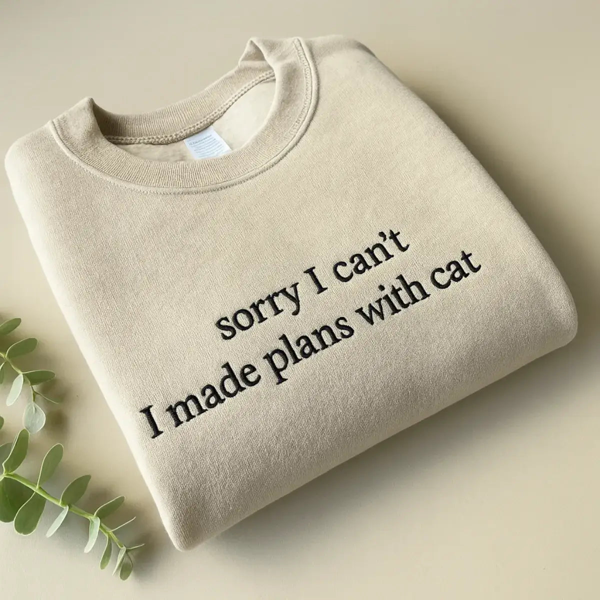 Sorry I Can’t I Have Plans With My Cat T Shirt