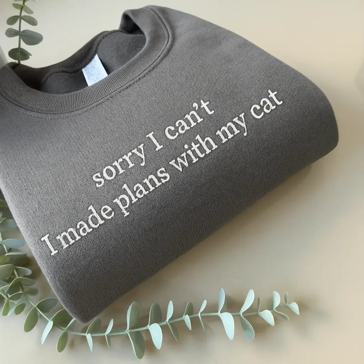 Sorry I Can’t I Have Plans With My Cat T Shirt