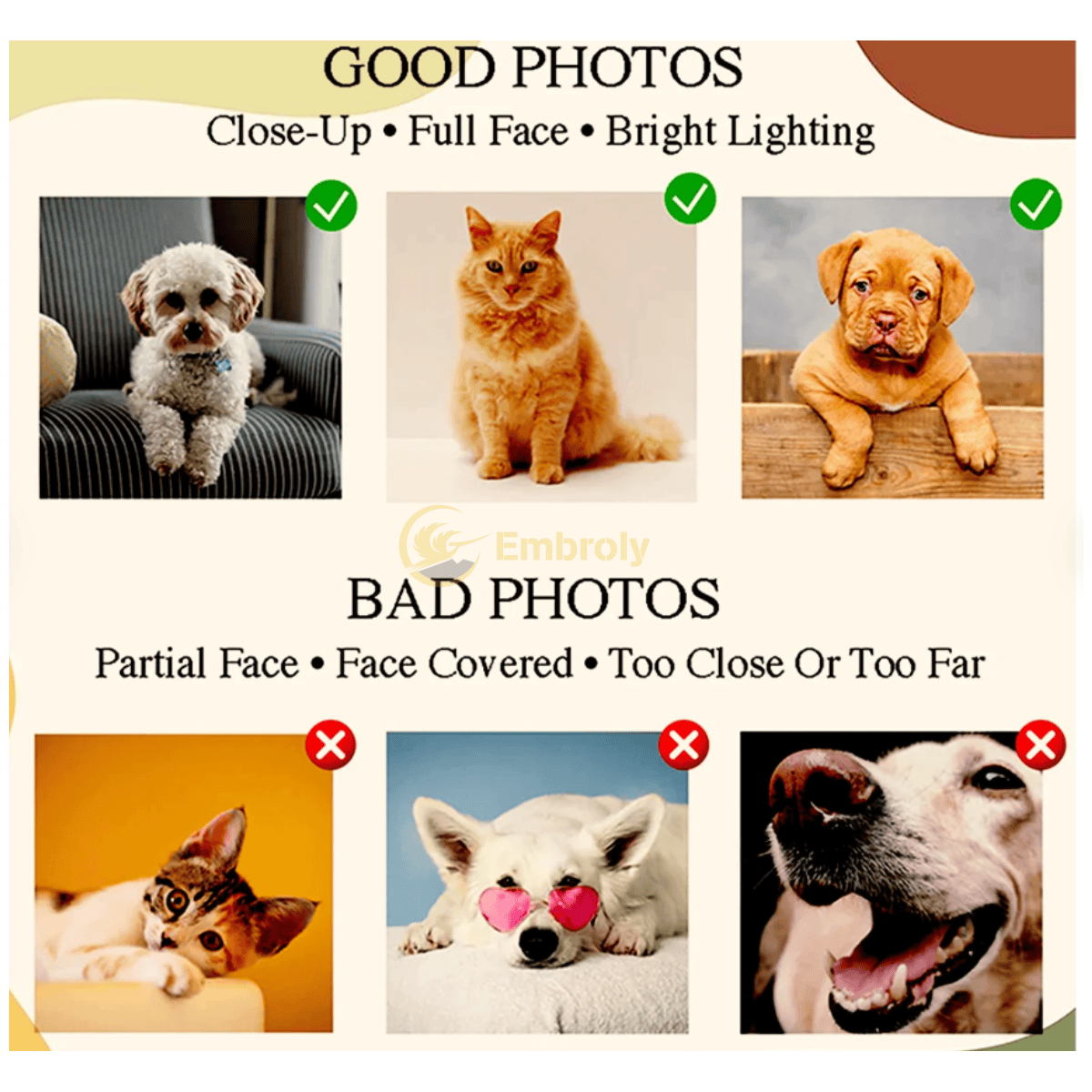 Custom Embroidered Pet Ears With Name Dyed Hat, Personalized With Name Or Icon Under Photo - Embroly