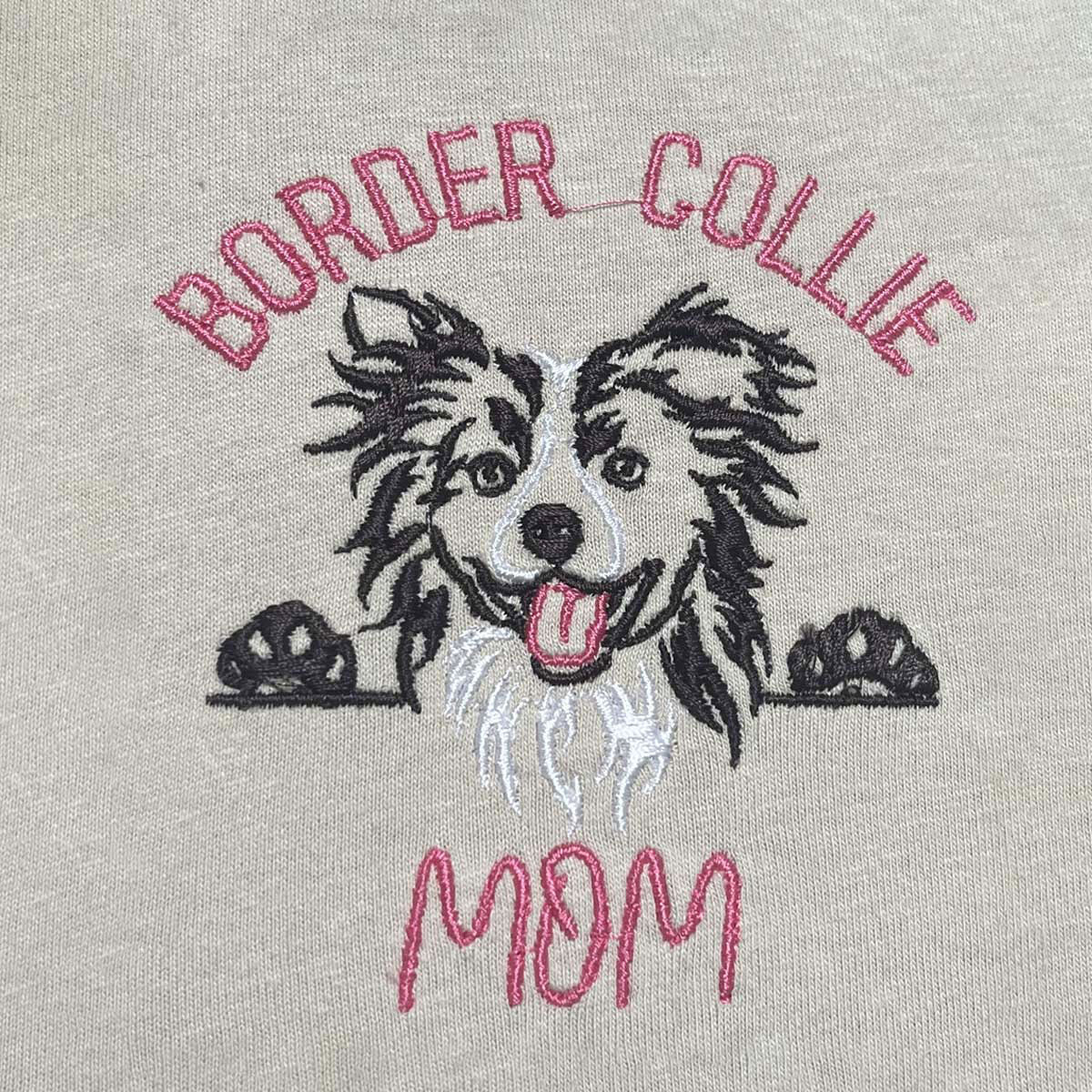 Border clearance collie presents